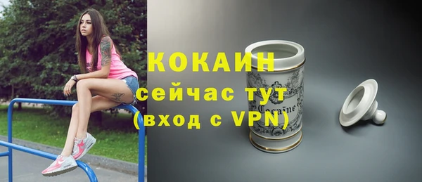 мет Алексин