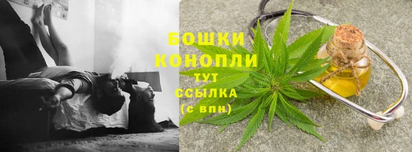 PSILOCYBIN Абдулино
